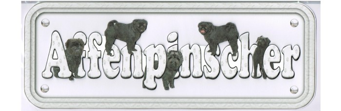 Affenpinscher