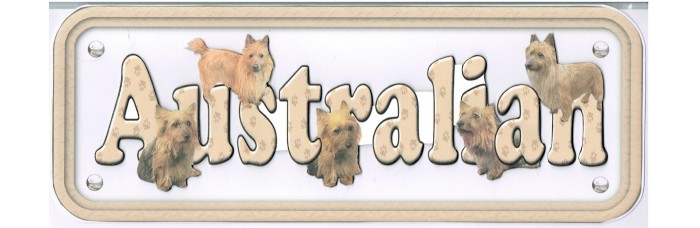 Australian Terrier