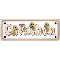Cavachon