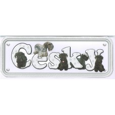 Cesky Terrier