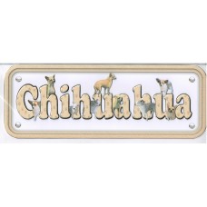 Chihauhau - short hair