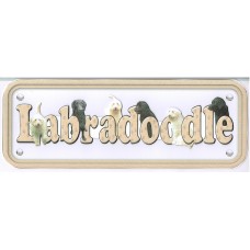Labradoodle