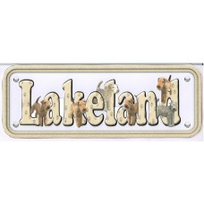 Lakeland Terrier