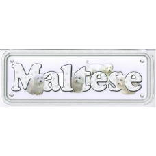 Maltese Terrier