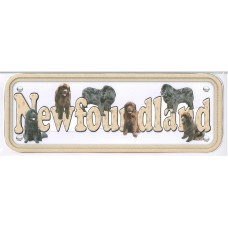 Newfoundland - black & brown