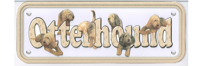 Otterhound