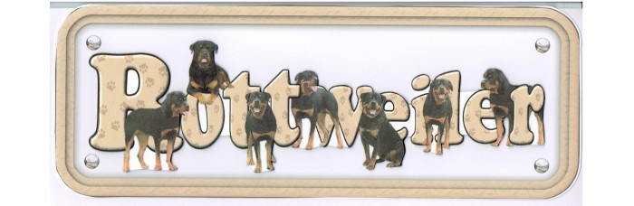 Rottweiler
