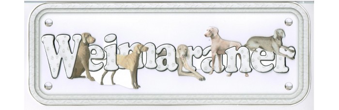 Weimaraner Weimaraner